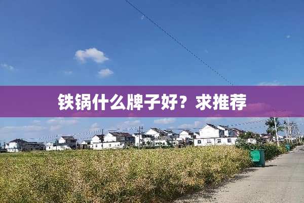 铁锅什么牌子好？求推荐