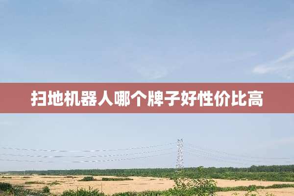 扫地机器人哪个牌子好性价比高