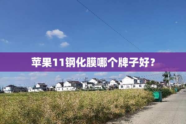 苹果11钢化膜哪个牌子好？