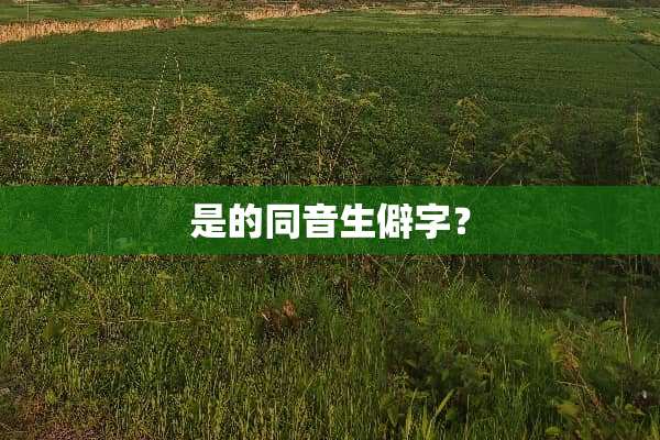 是的同音生僻字？
