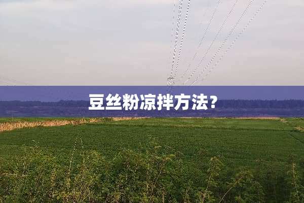豆丝粉凉拌方法？