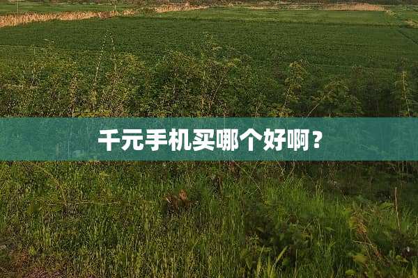 千元手机买哪个好啊？