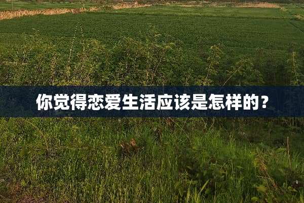 你觉得恋爱生活应该是怎样的？