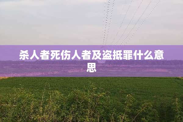 杀人者死伤人者及盗抵罪什么意思