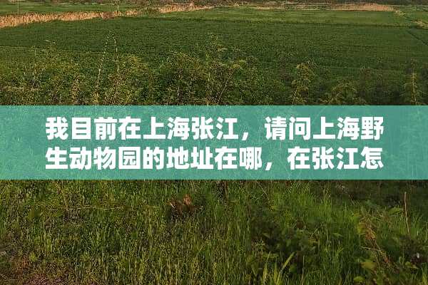 我目前在上海张江，请问上海野生动物园的地址在哪，在张江怎么坐车去？谢谢！