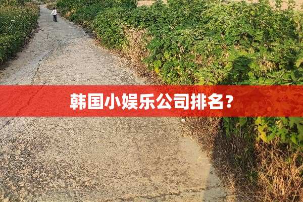 韩国小娱乐公司排名？