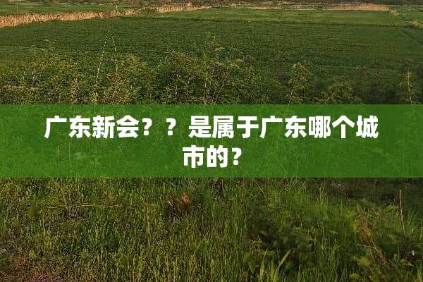 广东新会？？是属于广东哪个城市的？
