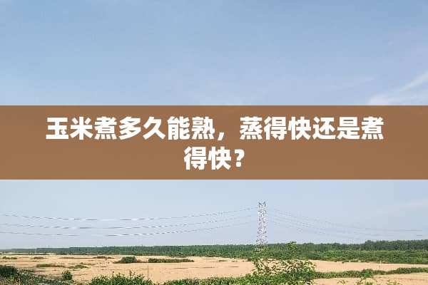 玉米煮多久能熟，蒸得快还是煮得快？