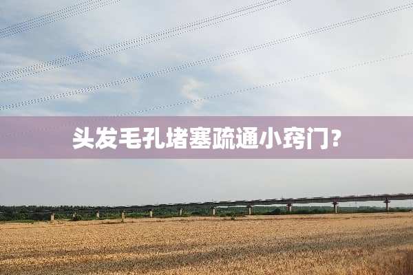 头发毛孔堵塞疏通小窍门？