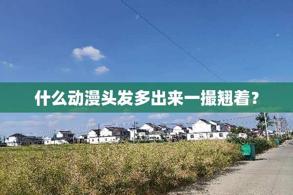 什么动漫头发多出来一撮翘着？