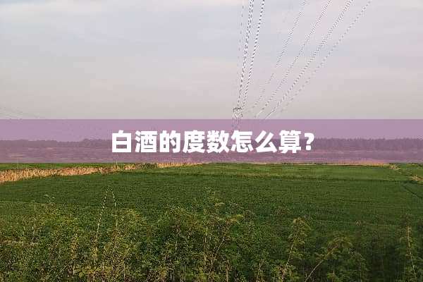 白酒的度数怎么算？
