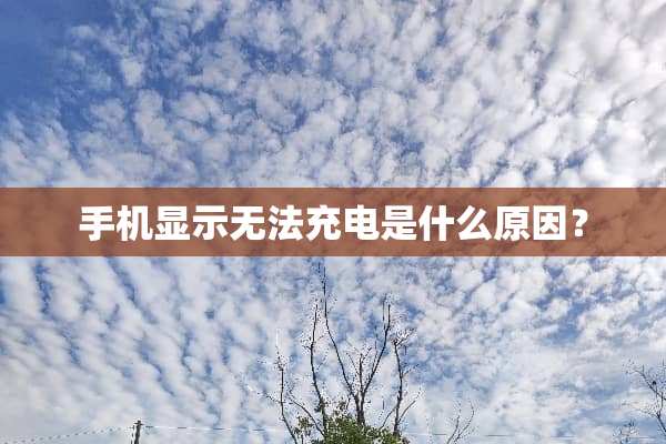 手机显示无法充电是什么原因？