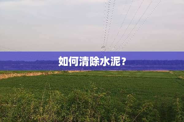 如何清除水泥？