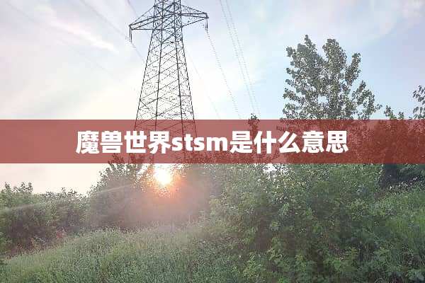 魔兽世界stsm是什么意思