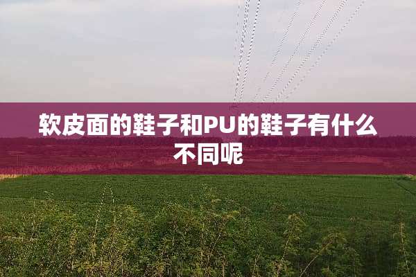 软皮面的鞋子和PU的鞋子有什么不同呢