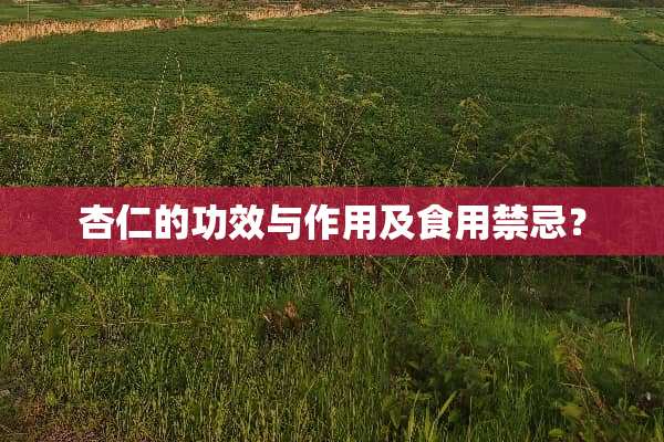 杏仁的功效与作用及食用禁忌？