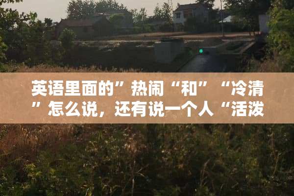 英语里面的”热闹“和”“冷清”怎么说，还有说一个人“活泼”怎么说