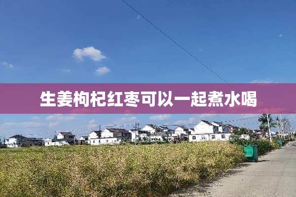 生姜枸杞红枣可以一起煮水喝