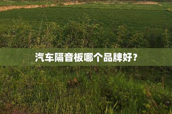 汽车隔音板哪个品牌好？