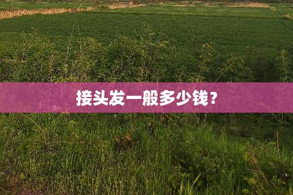 接头发一般多少钱？
