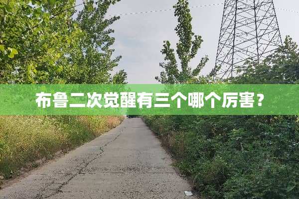 布鲁二次觉醒有三个哪个厉害？