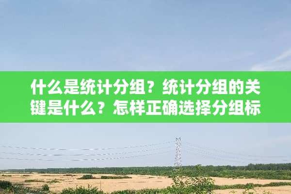什么是统计分组？统计分组的关键是什么？怎样正确选择分组标志？