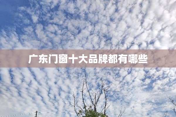 广东门窗十大品牌都有哪些