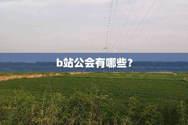 b站公会有哪些？