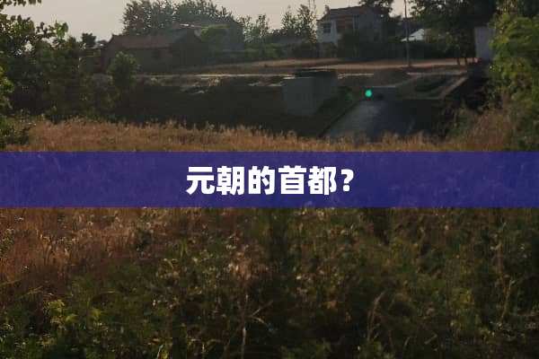 元朝的首都？