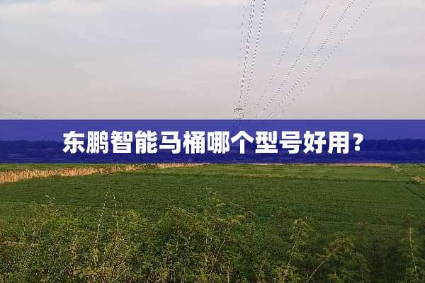 东鹏智能马桶哪个型号好用？
