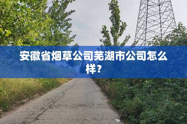 安徽省烟草公司芜湖市公司怎么样？