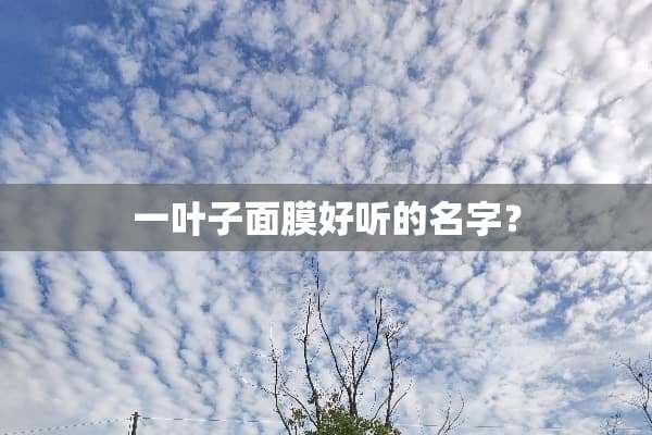 一叶子面膜好听的名字？