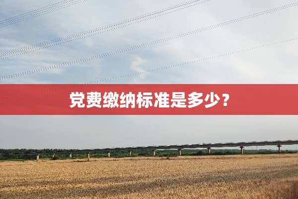 *费缴纳标准是多少？
