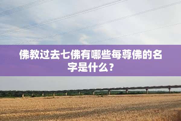 佛教过去七佛有哪些每尊佛的名字是什么？