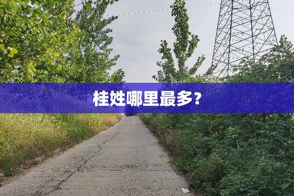 桂姓哪里最多？