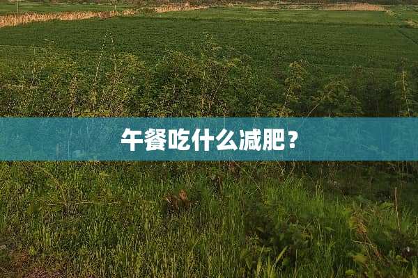 午餐吃什么减肥？