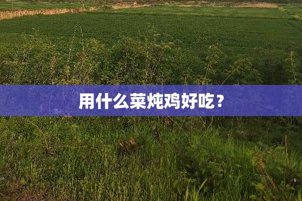 用什么菜炖鸡好吃？