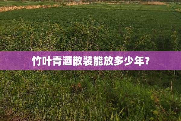 竹叶青酒散装能放多少年？