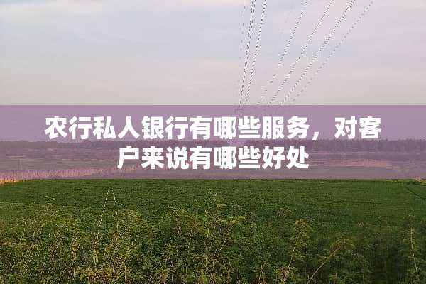 农行私人银行有哪些服务，对客户来说有哪些好处