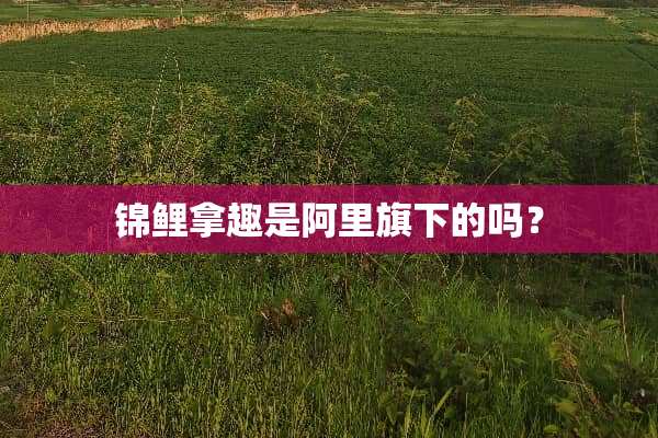 锦鲤拿趣是阿里旗下的吗？
