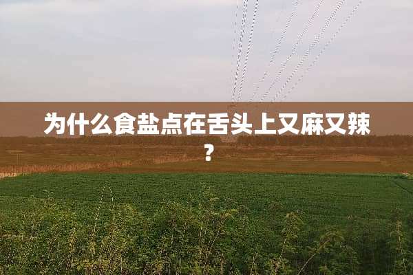 为什么食盐点在舌头上又麻又辣？