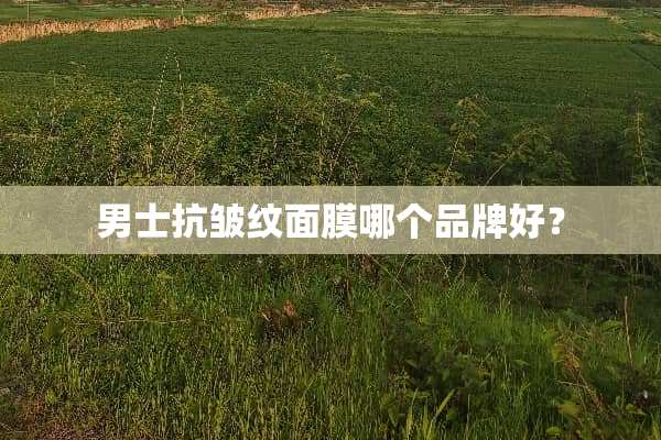 男士抗皱纹面膜哪个品牌好？