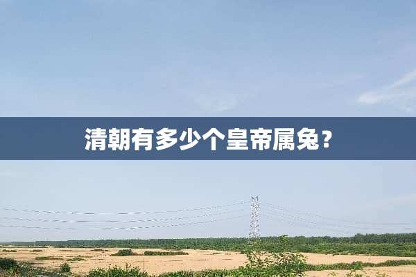 清朝有多少个皇帝属兔？