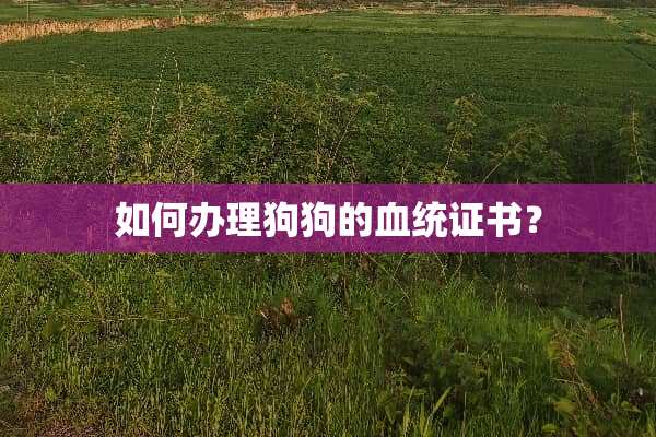 如何办理狗狗的血统证书？