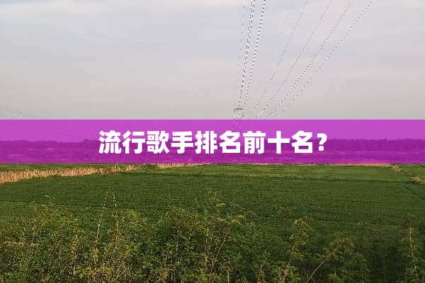 流行歌手排名前十名？