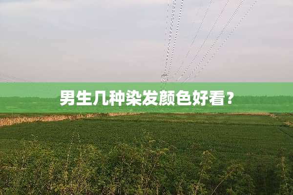 男生几种染发颜色好看？
