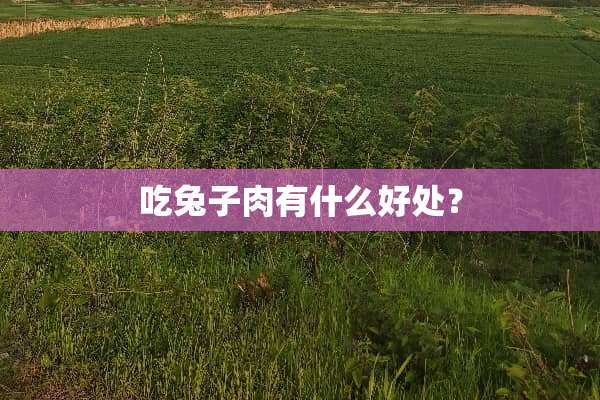 吃兔子肉有什么好处？