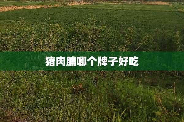 猪肉脯哪个牌子好吃