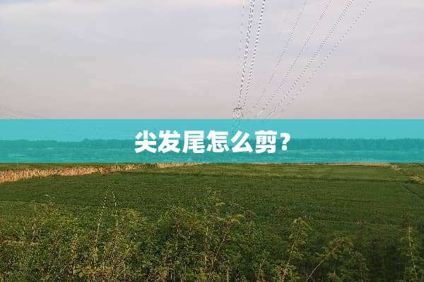 尖发尾怎么剪？