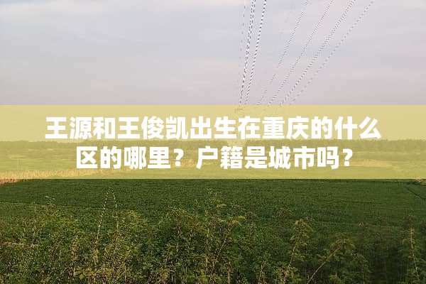 王源和王俊凯出生在重庆的什么区的哪里？户籍是城市吗？